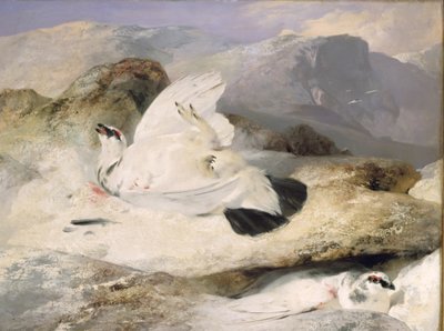 Lagopède - Edwin Landseer